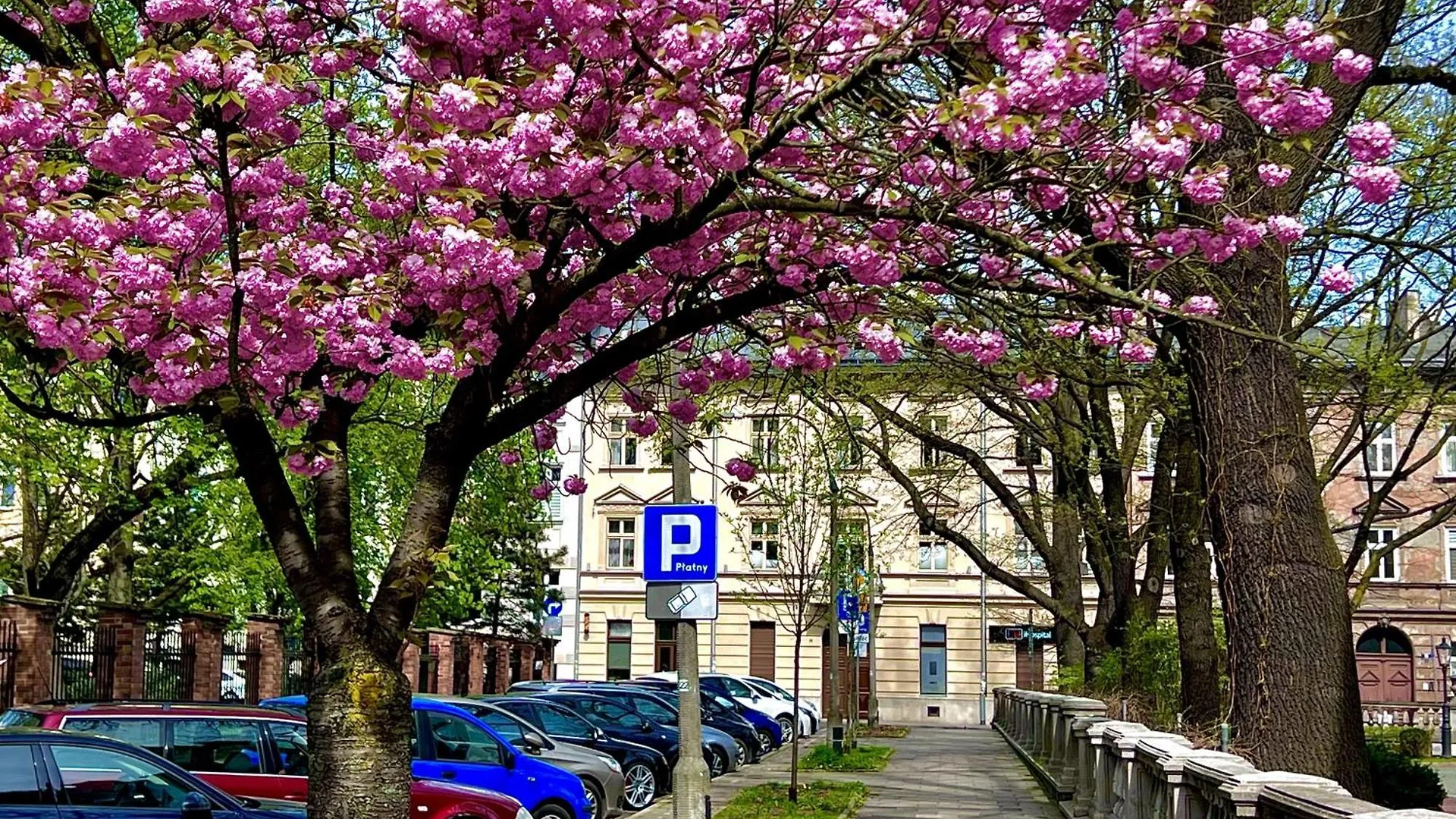 Krakow Central Apartments